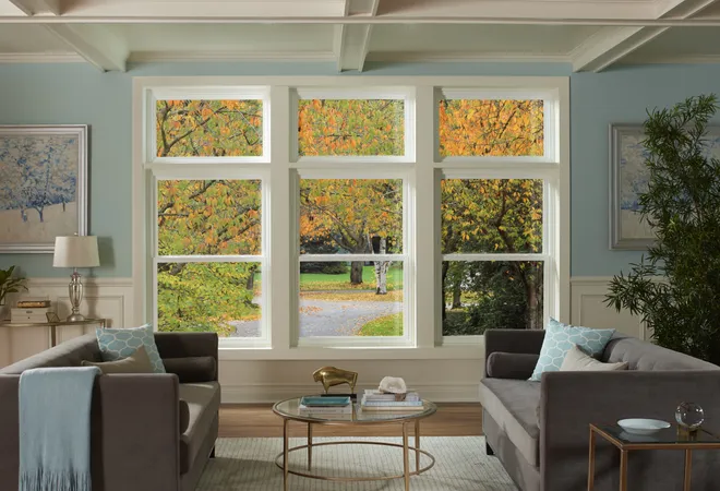 Window World Double-Hung Windows