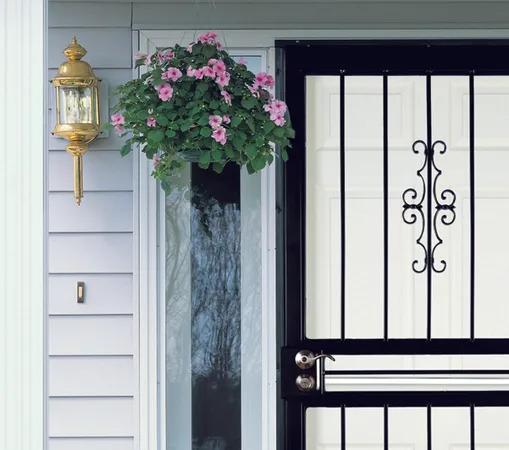 Window World Security Storm Door